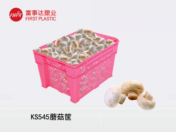 蘑菇筐 蘑菇筐